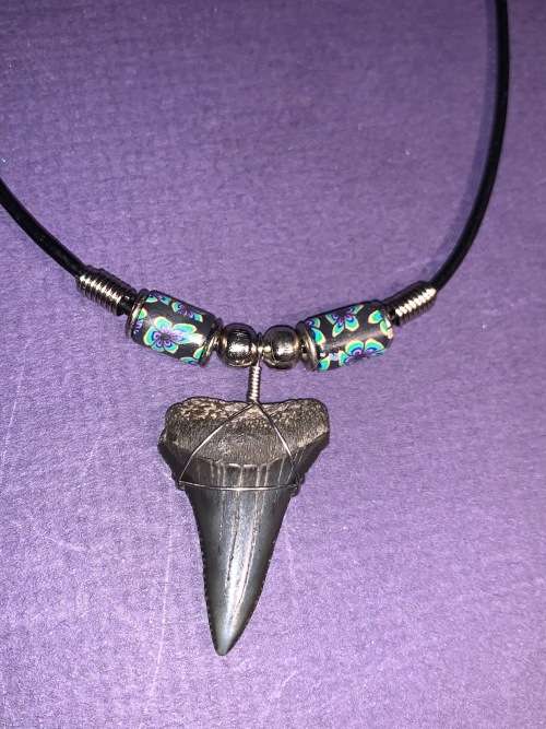 Great White FOSSIL SHARK TOOTH PENDANT NECKLACE 32 mm large size