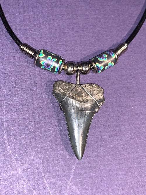 Great White FOSSIL SHARK TOOTH PENDANT NECKLACE 32 mm large size