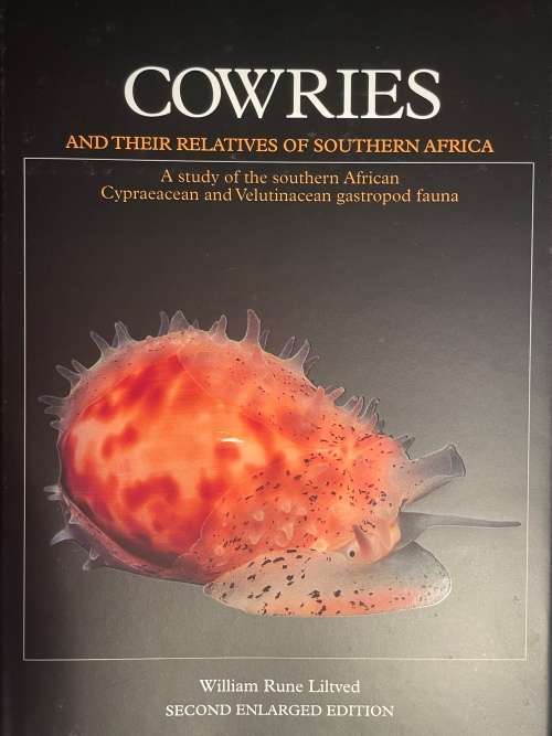 Cowries and Their Relatives of Southern Africa by William R Liltved 2nd Ed including the supplement