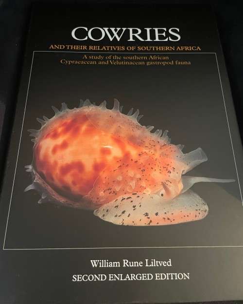 Cowries and Their Relatives of Southern Africa by William R Liltved 2nd Ed including the supplement