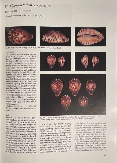 Cowries and Their Relatives of Southern Africa by William R Liltved 2nd Ed including the supplement