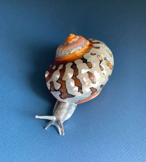 Pewter Snail Sea Ocean Beach Figurine Silver Shell Turbo