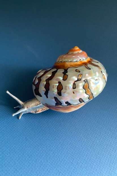 Pewter Snail Sea Ocean Beach Figurine Silver Shell Turbo