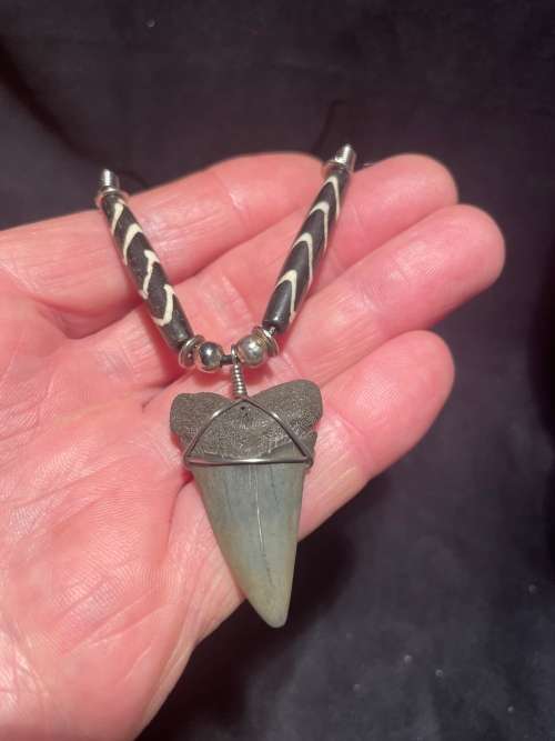 Mako FOSSIL SHARK TOOTH PENDANT NECKLACE