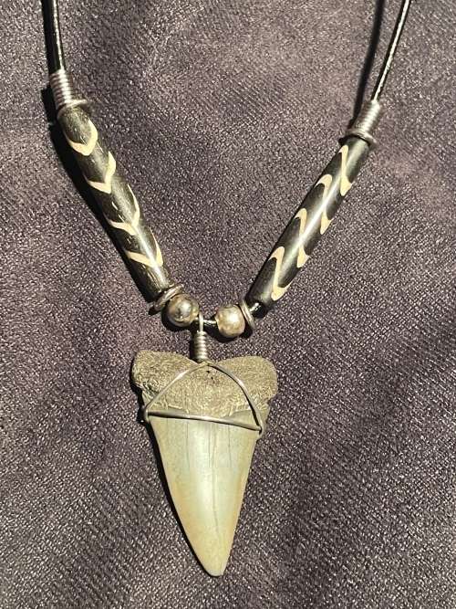 Mako FOSSIL SHARK TOOTH PENDANT NECKLACE