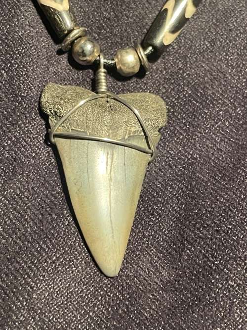 Mako FOSSIL SHARK TOOTH PENDANT NECKLACE