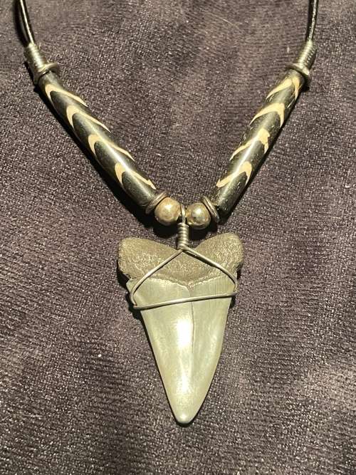 Mako FOSSIL SHARK TOOTH PENDANT NECKLACE