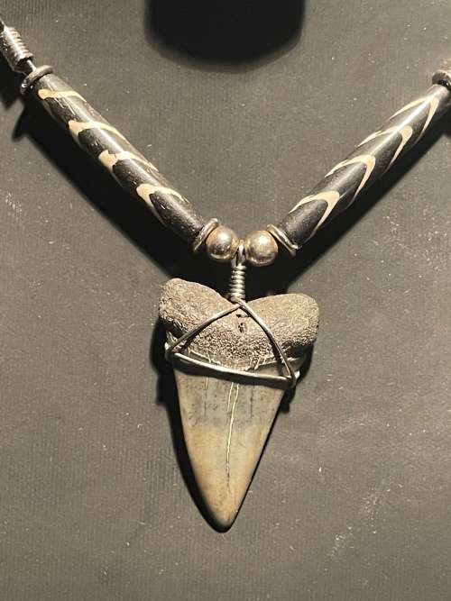 Mako FOSSIL SHARK TOOTH PENDANT NECKLACE