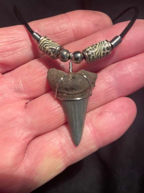 Great White FOSSIL SHARK TOOTH PENDANT NECKLACE