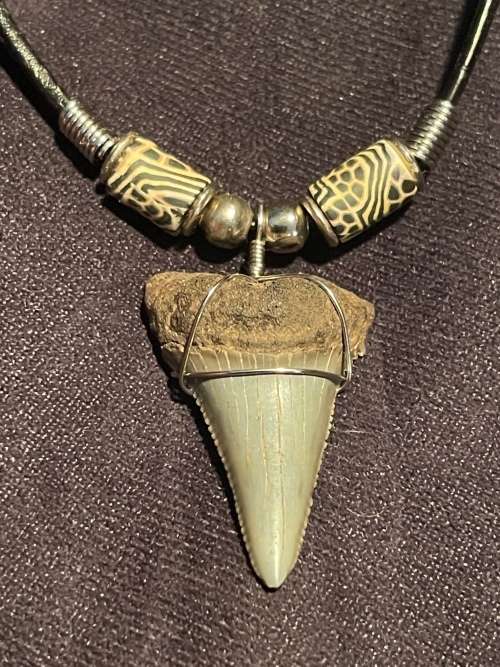 Great White FOSSIL SHARK TOOTH PENDANT NECKLACE
