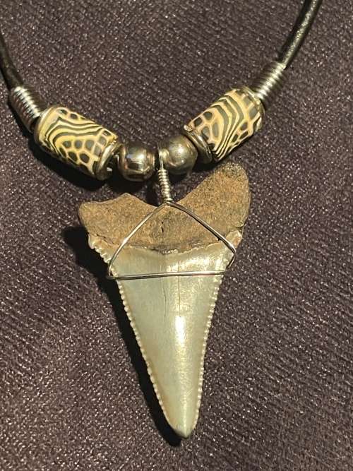 Great White FOSSIL SHARK TOOTH PENDANT NECKLACE