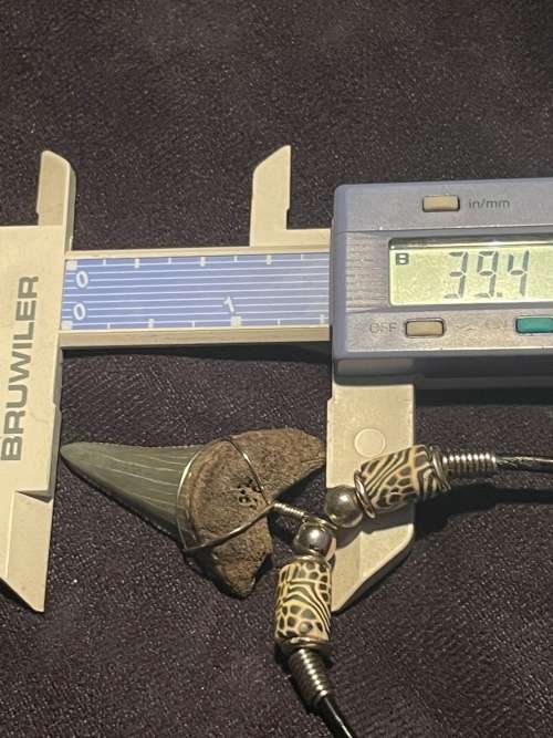 Great White FOSSIL SHARK TOOTH PENDANT NECKLACE