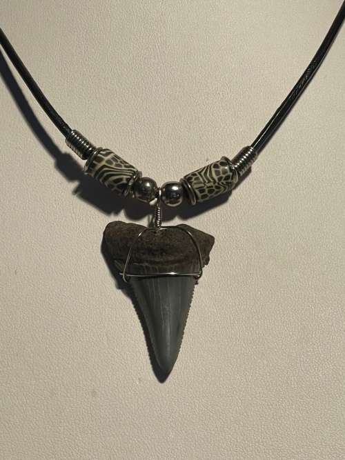 Great White FOSSIL SHARK TOOTH PENDANT NECKLACE