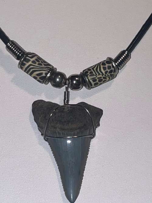 Great White FOSSIL SHARK TOOTH PENDANT NECKLACE