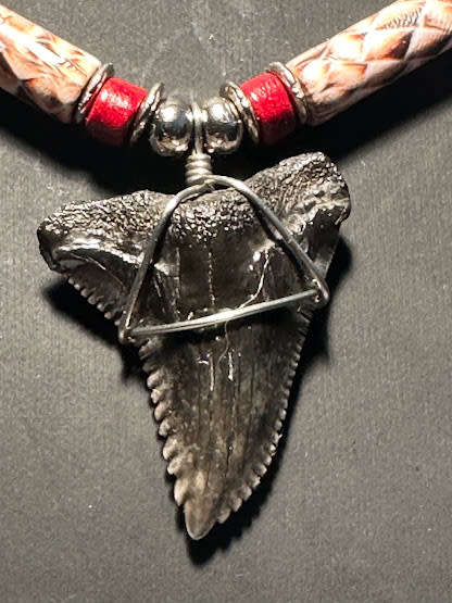 FOSSIL SHARK TOOTH PENDANT