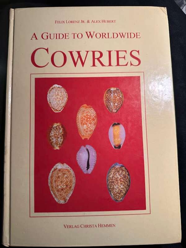 A Guide to Worldwide Cowries
