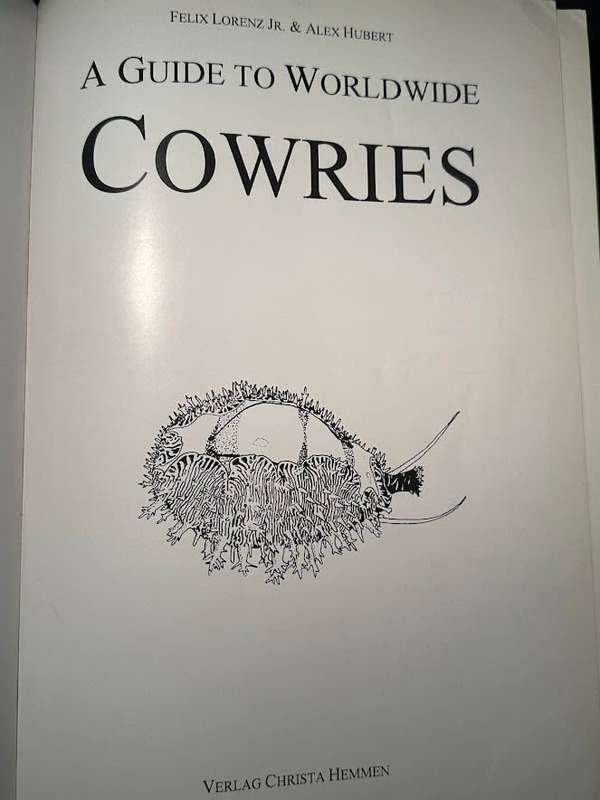 A Guide to Worldwide Cowries