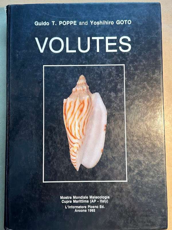Volutes by Guido Poppe and Yoshihiro Goto