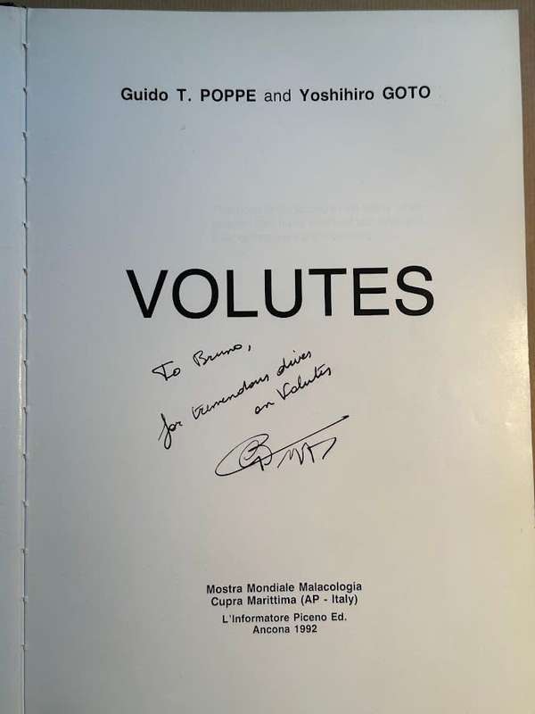 Volutes by Guido Poppe and Yoshihiro Goto
