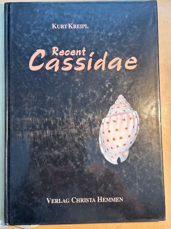 Recent Cassidae by K Kreipl