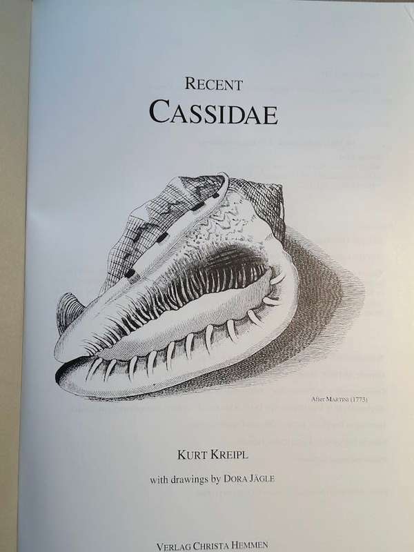 Recent Cassidae by K Kreipl