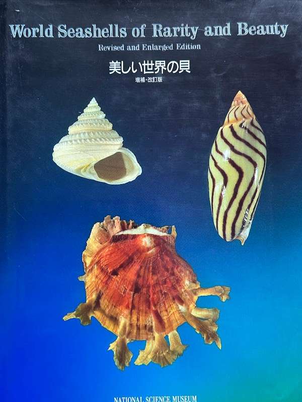 World Seashells of Rarity and Beauty