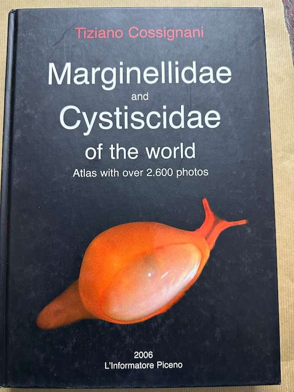 Marginellidae and Cystiscidae of the World by Tiziano Cossignani