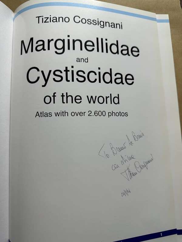 Marginellidae and Cystiscidae of the World by Tiziano Cossignani