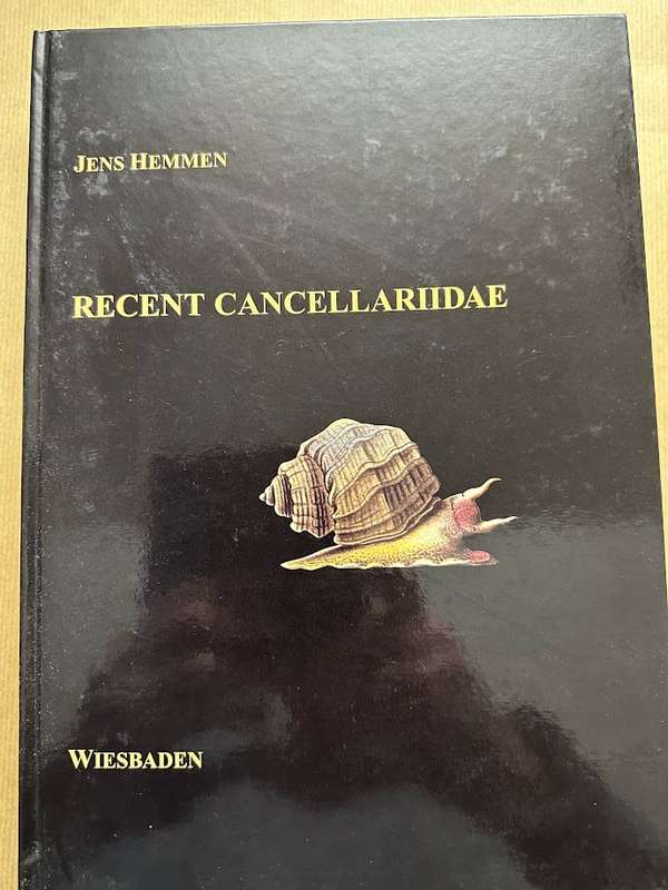 Recent Cancellariidae by Jens Hemmen