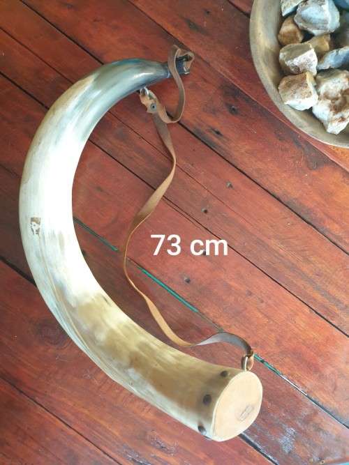 Bull Horn Gun Powder Flask