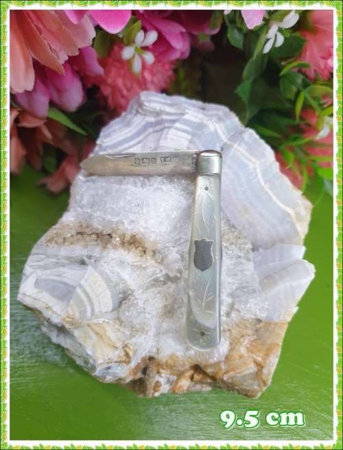 1902  mini Sheffield pocket knive