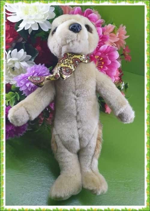 Collectable Toy Just for You