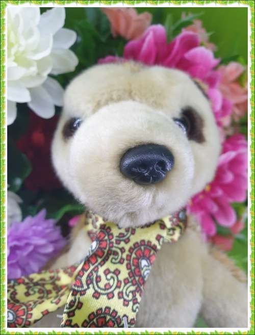 Collectable Toy Just for You