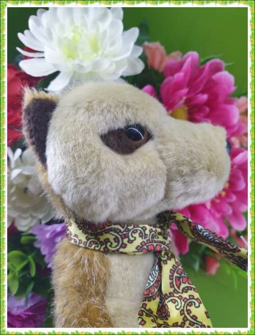 Collectable Toy Just for You