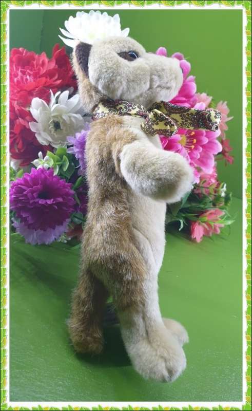 Collectable Toy Just for You