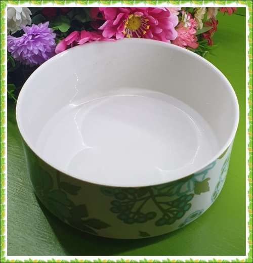 Retro Serving Bowl LOT 2
