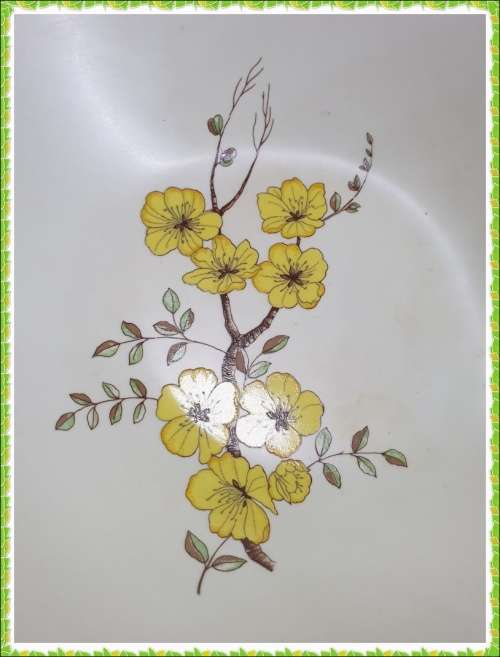 CarltonWare Bowl