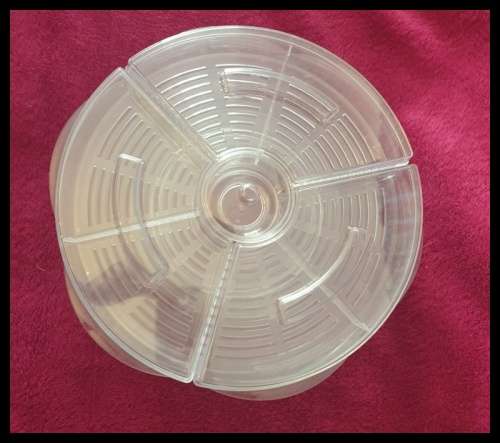 Clear Acrylic Appetizer Tray with Compartments  (L-AN)