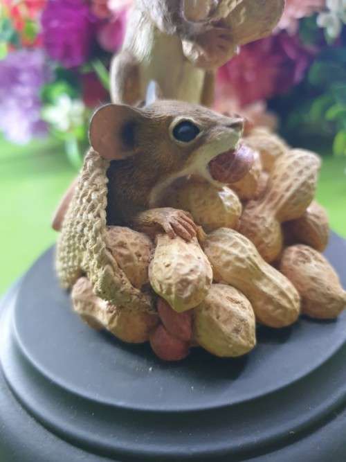 FEATHERS OF KNYSNA SA~WILDLIFE SERIES SCULPTURE ON WOODEN BASE~LIMITED EDITION