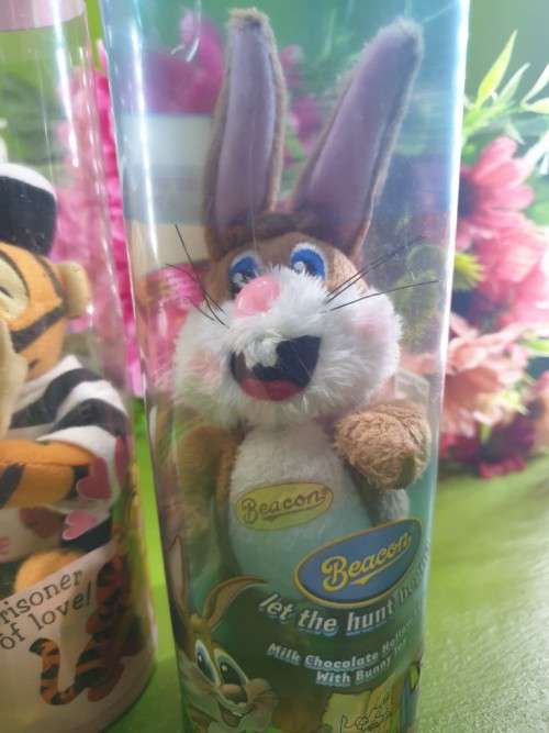 Collectable Beacon Toys