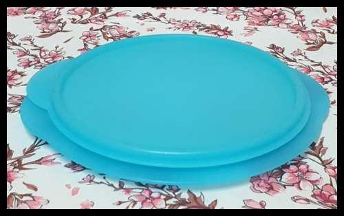 Tupperware Container
