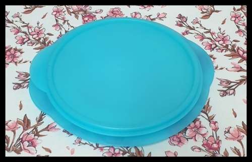 Tupperware Container
