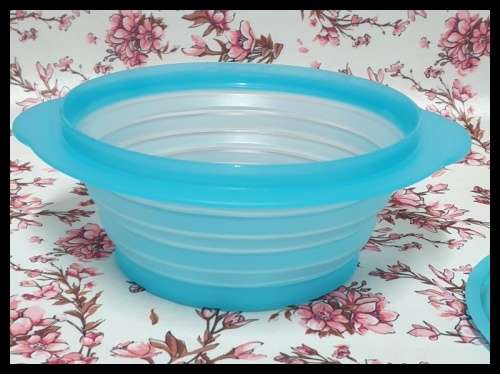Tupperware Container