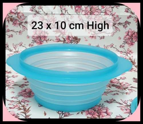 Tupperware Container