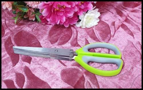 Multi-Blade Herb Scissors