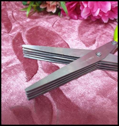 Multi-Blade Herb Scissors