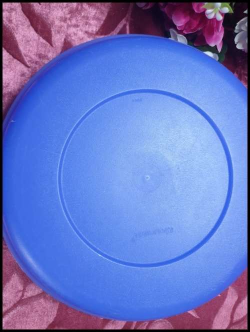 Tupperware Bowl for Your Collection