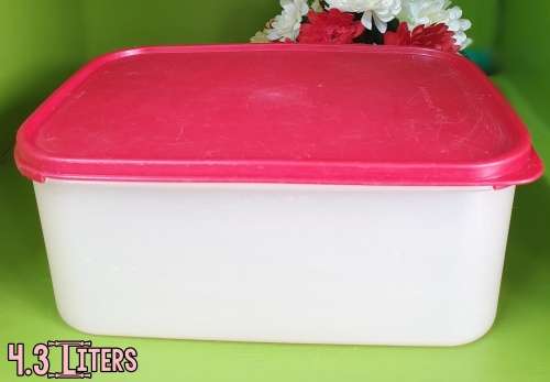 Tupperware Container