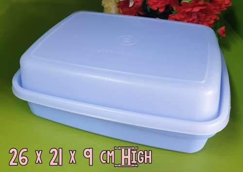 Tupperware Container