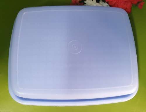 Tupperware Container